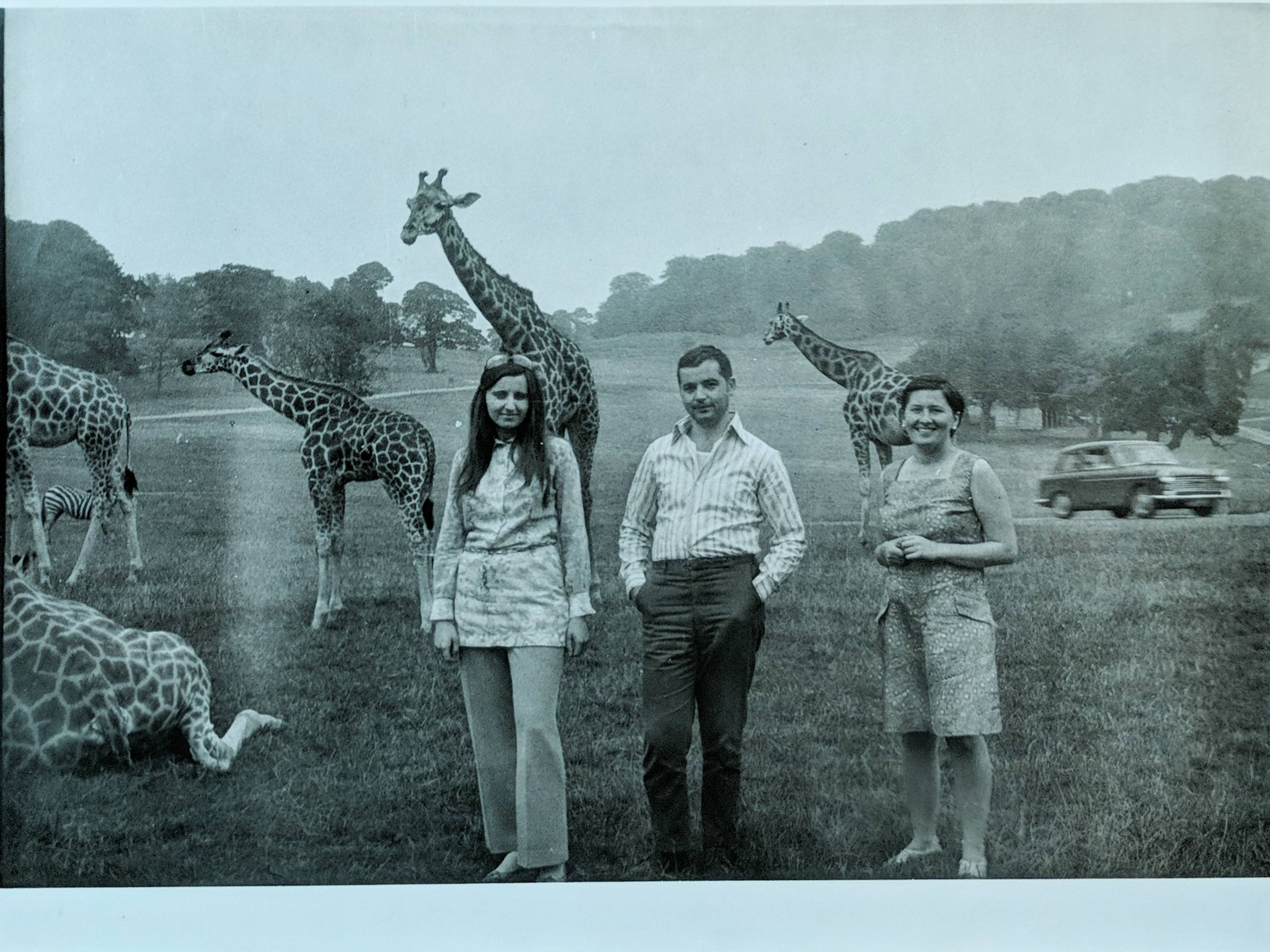 When giraffes photobomb your family picture, late 60s style.